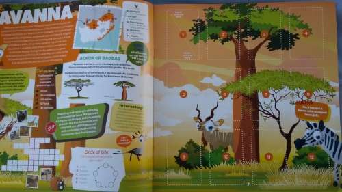 Pick n Pay South African Super Animals Collectors Album - Empty