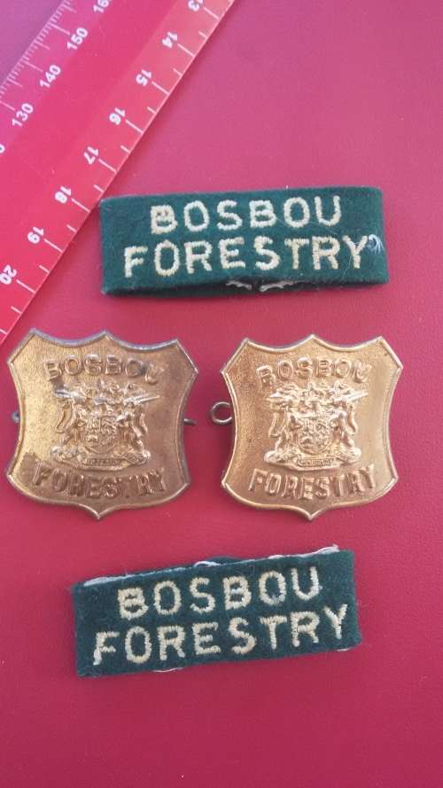 Badges Lot - Bosbou / Forestry