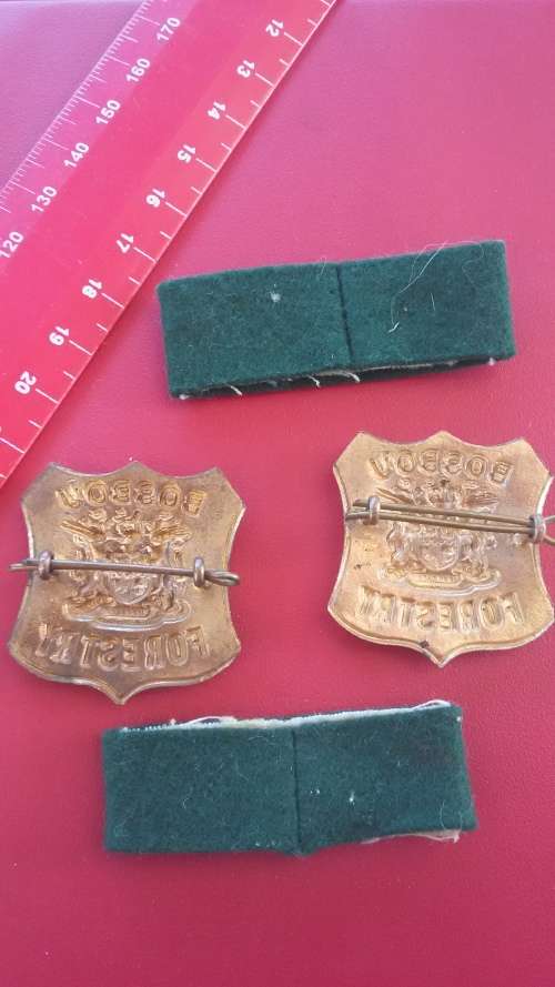 Badges Lot - Bosbou / Forestry