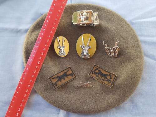 SADF - SWATF Military Badges + Beret 1987/8 - LOT