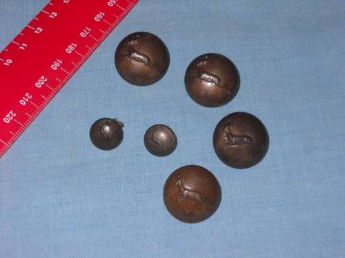 SADF - SA MILITARY SPRINGBOK PLASTIC BUTTONS