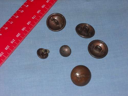 SADF - SA MILITARY SPRINGBOK PLASTIC BUTTONS