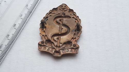 SADF - SA MILITARY MEDICAL SERVICES BERET/CAP BADGE + PINS