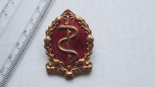 SADF - SA MILITARY MEDICAL SERVICES BERET/CAP BADGE + PINS