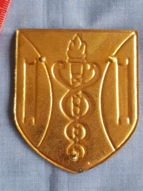 SA NOODHULP - FIRST AID SHOULDER FLASH WITH PINS