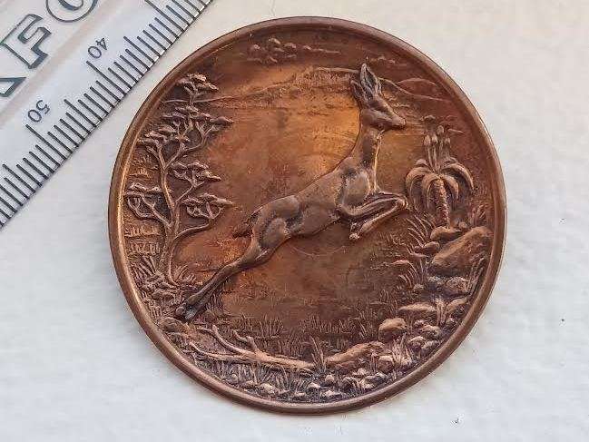 Springbok Pin / Badge