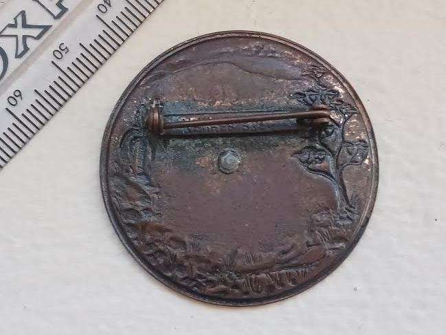 Springbok Pin / Badge