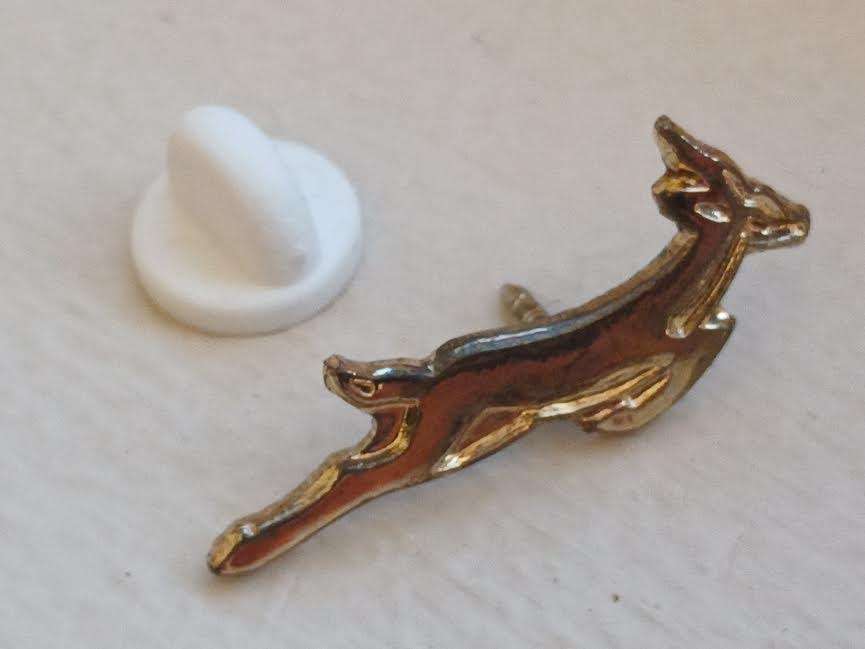 Springbok Rugby Players Pin / Badge for Blazer