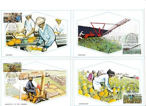 SET OF FOUR CISKEI 1982 PINEAPPLE GROWING MAXI CARDS -  SCARCE.