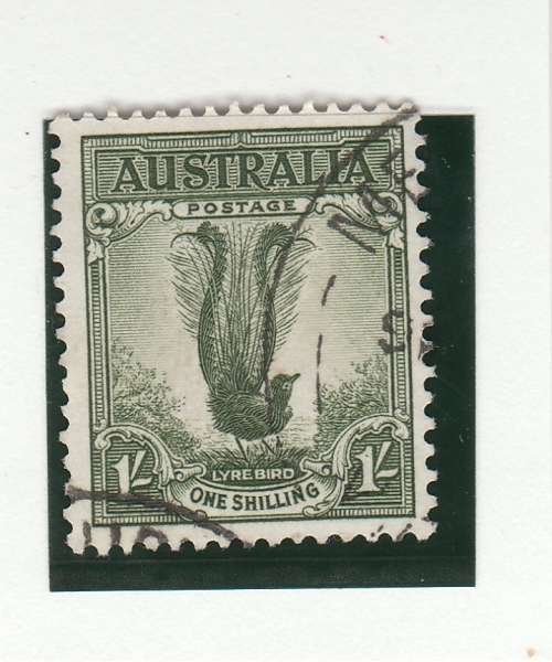 AUSTRALIA 1932 MALE LYREBIRD