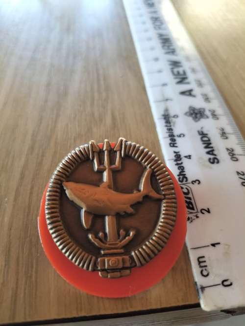 SA Army Bronze Full Size Special Forces Recce Attack Diver Badge