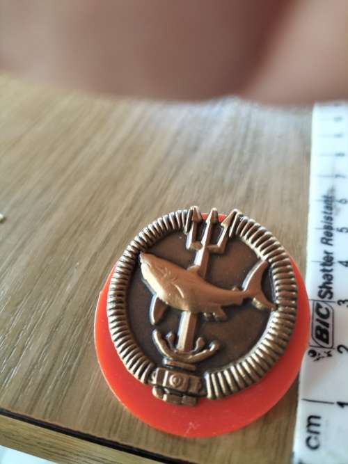 SA Army Bronze Full Size Special Forces Recce Attack Diver Badge