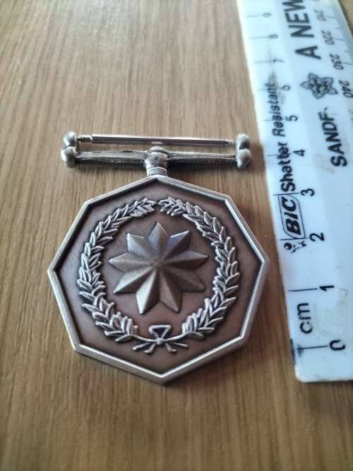 SA Army Full Size Medal (No Ribbon)