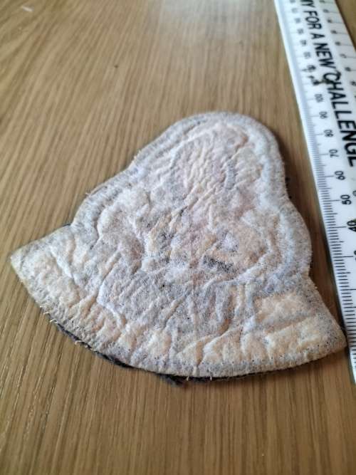 SAAF 6 Squadron Patch