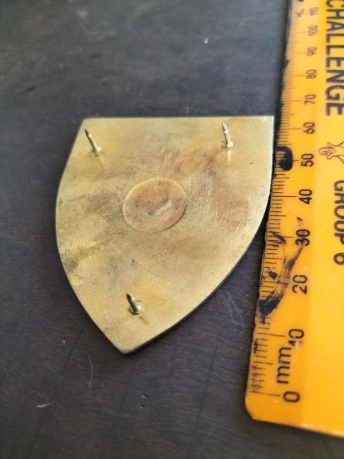 SADF 25 Field Artillery Regiment Flash