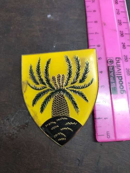 SADF 4 SAI Flash (2x pins missing)