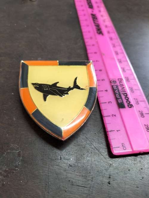 SA Army 74 Brigade Flash