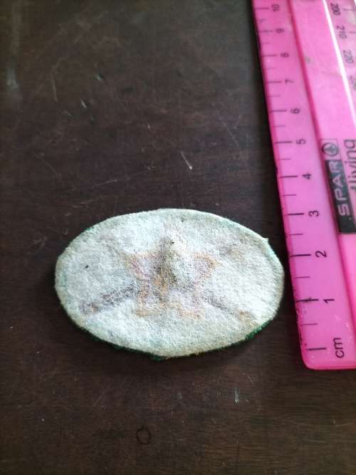 Rare SA Army Redeployed Sergeant Major Badge