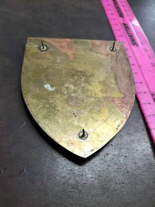 SADF Medics Plaque Badge