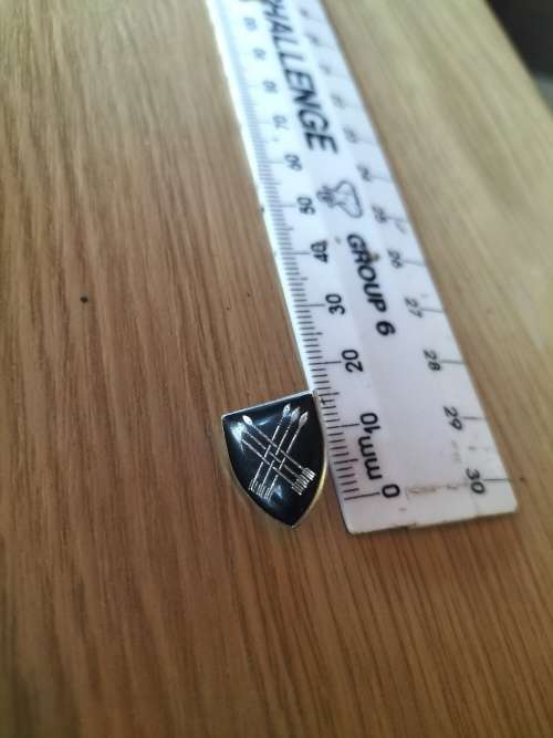 Very Small SADF 32 Battalion Cravat pin??