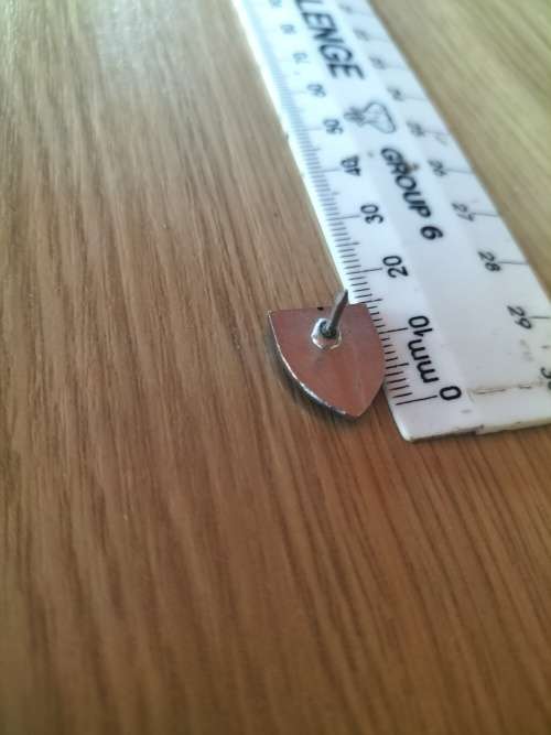 Very Small SADF 32 Battalion Cravat pin??