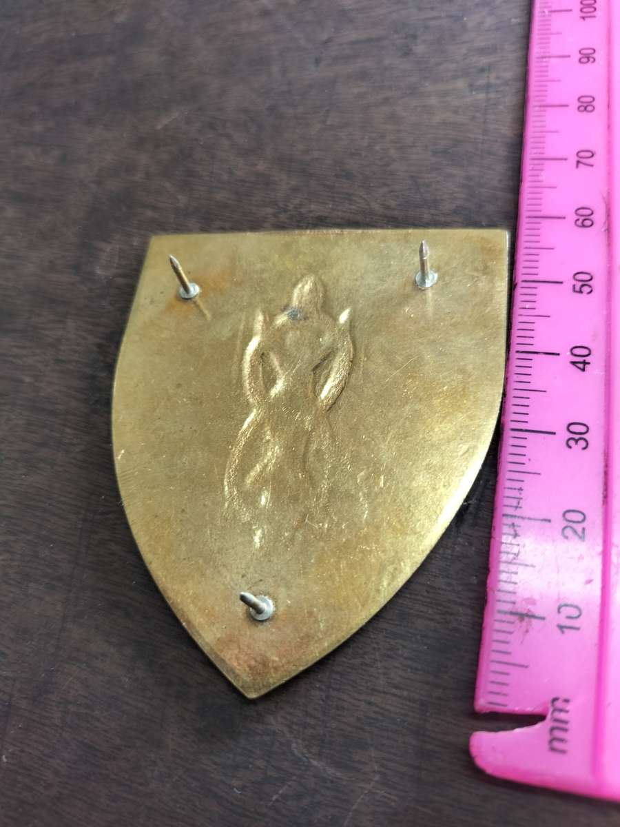 SADF Provost School Flash