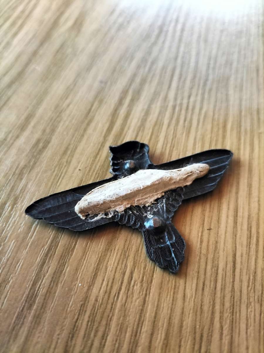 SADF 44 Parachute Brigade Badge (No pins)