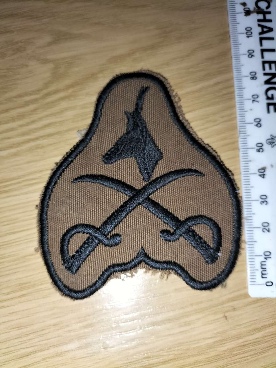 SADF PTI Instructor Cloth Badge