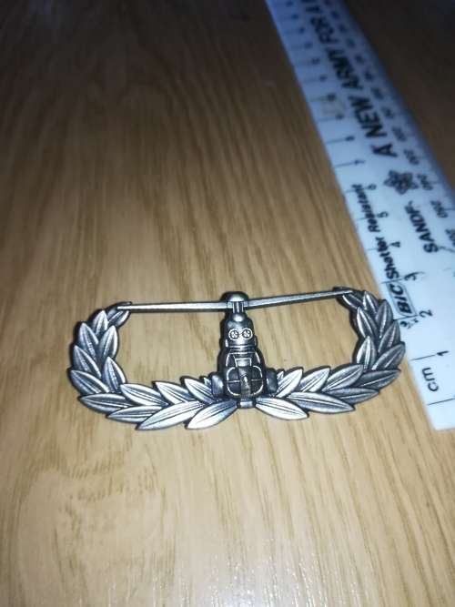 6 SAI BN Air Assault Badge (Full Size)
