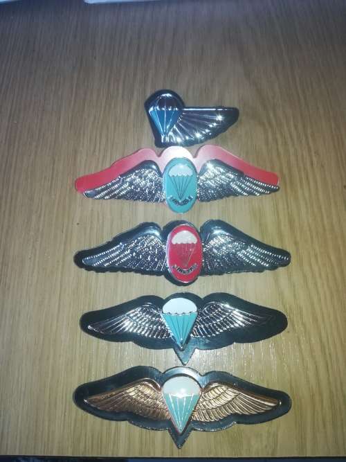 SADF Parabat Wings LOT (5x Items)
