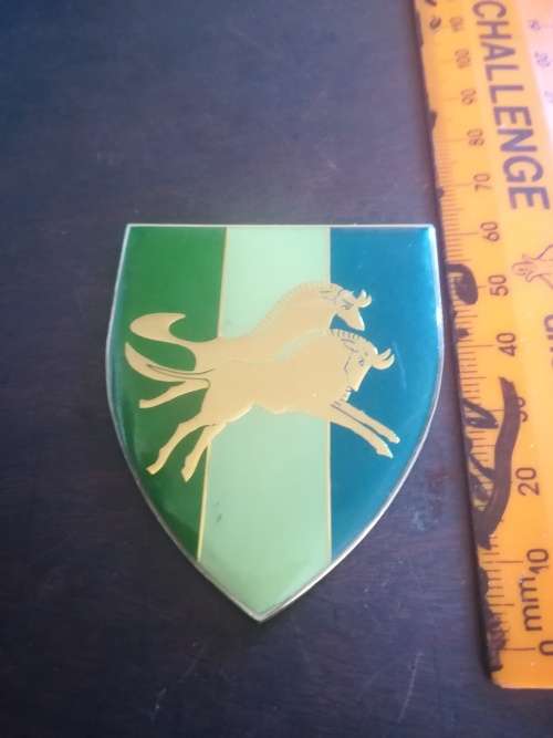 SADF Natal Command Signal Unit Flash (No Pins)