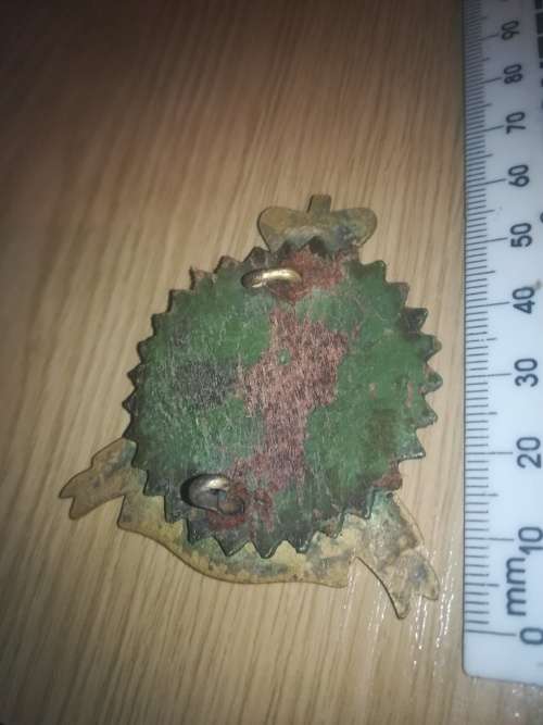 South African Constabulary Badge