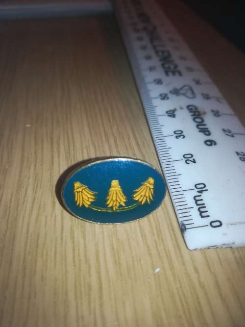 SADF Far North Command Beret Button Badge