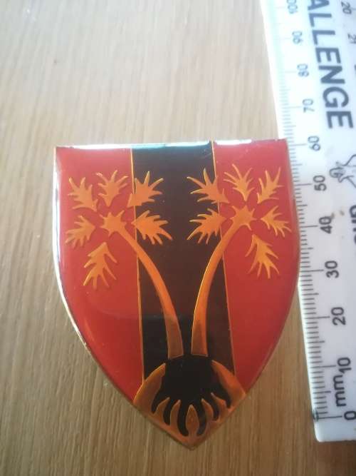 SADF Northern Logistical Command Provost Unit Flash