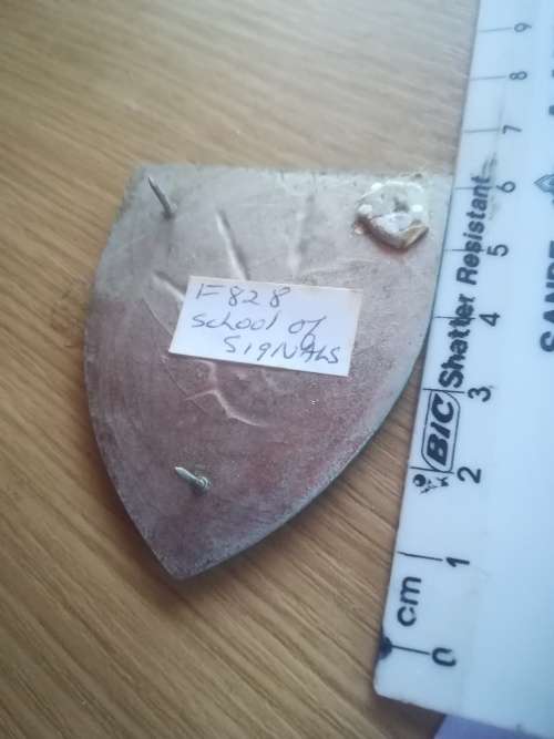 SADF School of Signals Flash (1x Pin missing)