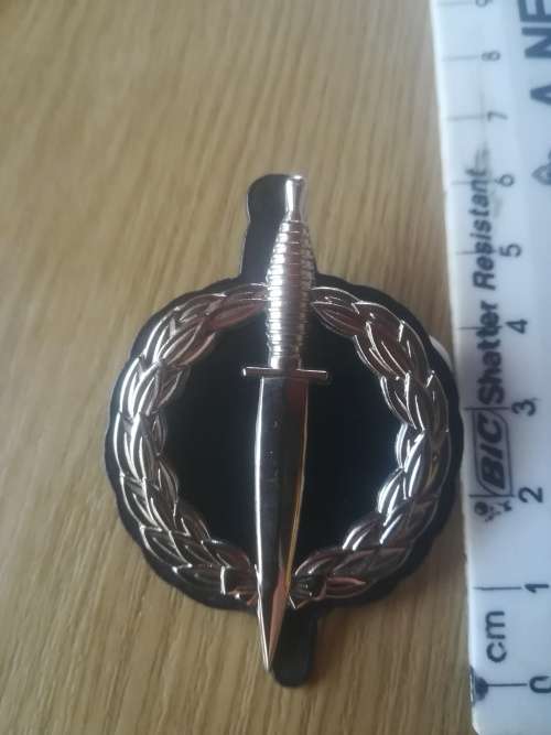SA Army Special Forces Operator Badge (Probably an Restrike)
