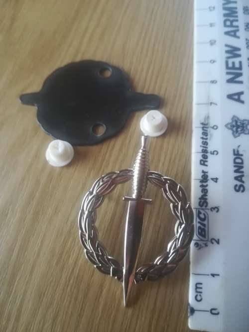 SA Army Special Forces Operator Badge (Probably an Restrike)