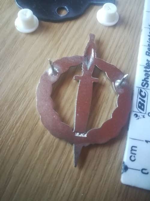 SA Army Special Forces Operator Badge (Probably an Restrike)