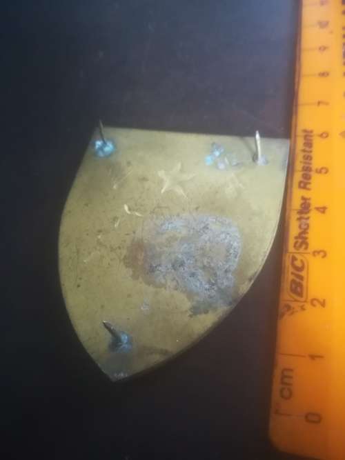 SADF 4 Parachute Battalion Flash