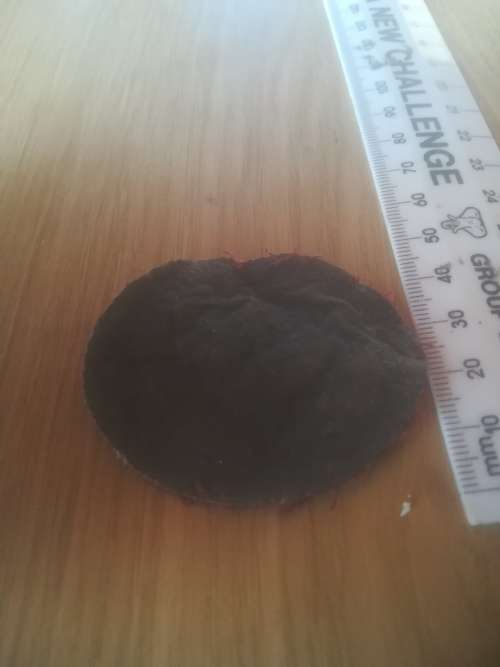 SADF Recce Beret Badge