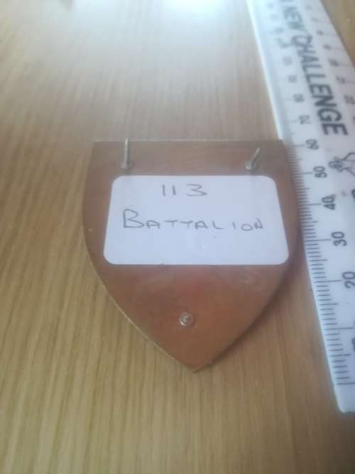 SADF 113 Battalion Flash (1x Pin missing)