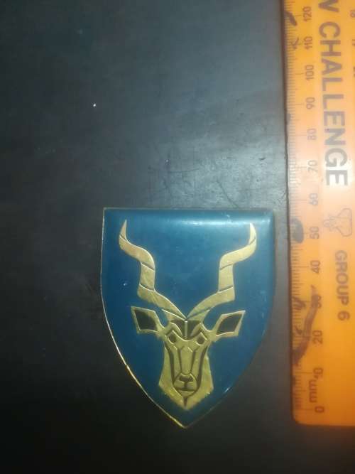 SADF Regiment Christiaan Beyers Flash (Selfmade Pins)