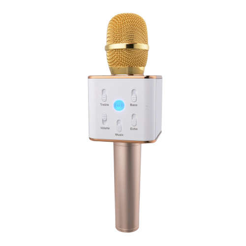 Karaoke Microphone