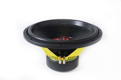 6000W 12" Subwoofer