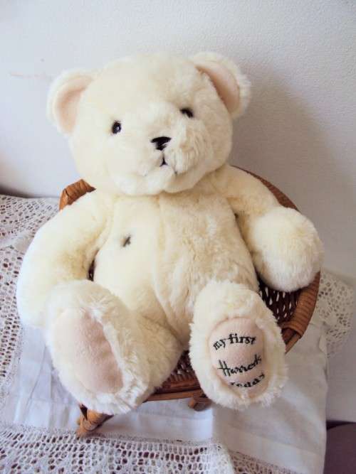 My First Harrod's Teddy with chest button 100% cuddle soft 36cm tall  preloved **good clean cond