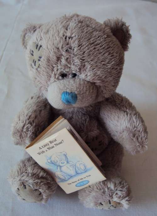 Teeny Me to You Teddy with booklet The story of Me to You  14cm tall