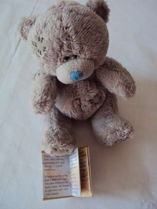 Teeny Me to You Teddy with booklet The story of Me to You  14cm tall