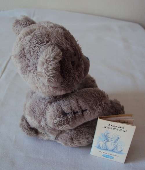 Teeny Me to You Teddy with booklet The story of Me to You  14cm tall