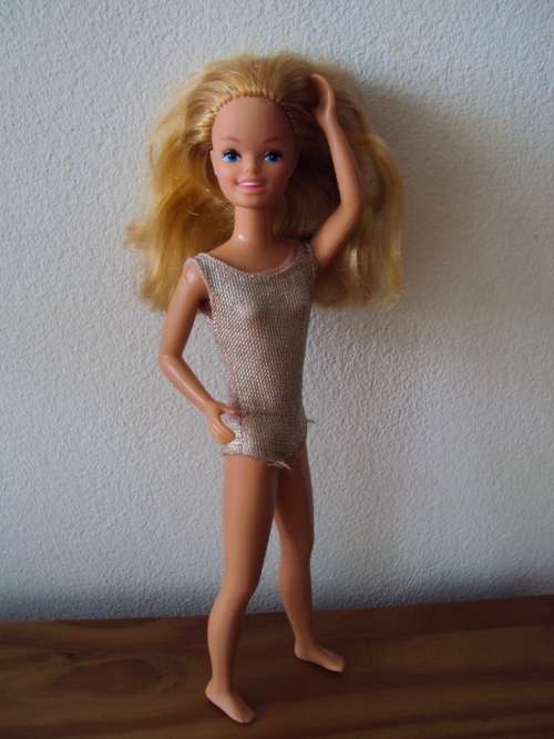 VINTAGE 1984 Mattel Skipper Barbie's sister, click bend legs, twist waist VGC, long thick hair