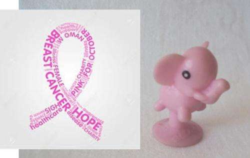 Pink Elephant stikeez ino Breast Cancer Awareness Month